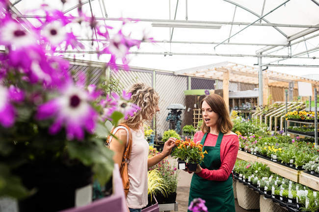 Florista feminino falando com mulher sobre plantas no centro de jardim — Fotografia de Stock