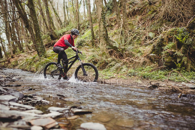 Side view of mountain biker in stream amidst trees at forest — Stock Photo