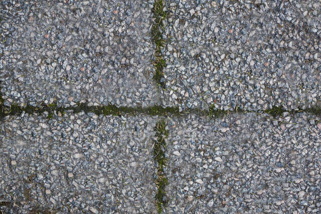 Close-up de quatro blocos em estrada pavimentada — Fotografia de Stock