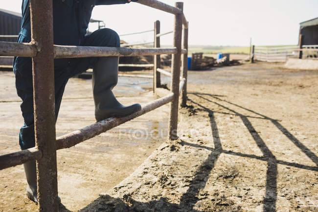 Baixa seção de trabalhador agrícola em pé por cerca no campo — Fotografia de Stock