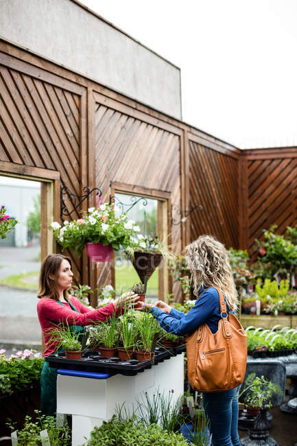 Donna che acquista piante in vaso nel centro del giardino — Foto stock
