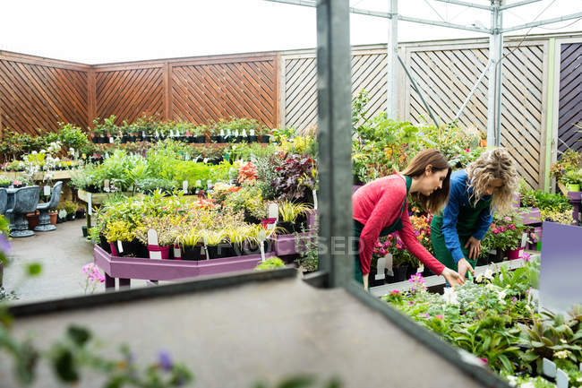Duas floristas femininas verificando plantas no centro de jardim — Fotografia de Stock