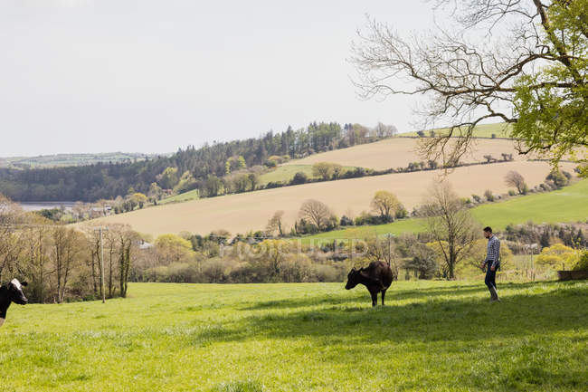 Vista lateral del hombre de pie junto a la vaca en el campo de hierba contra el cielo - foto de stock