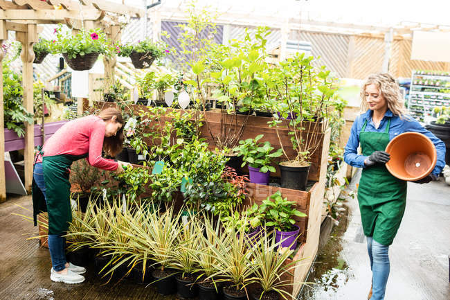 Deux fleuristes travaillant ensemble dans un centre de jardinage — Photo de stock