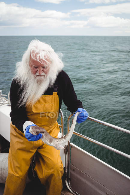 Grey hair Fisherman holding fish on boat — Stock Photo