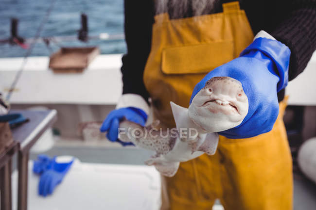 Midsection of fisherman holding fish on boat — Stock Photo