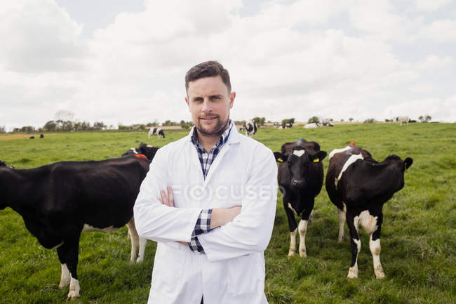 Retrato del veterinario inteligente de pie contra las vacas en el campo - foto de stock