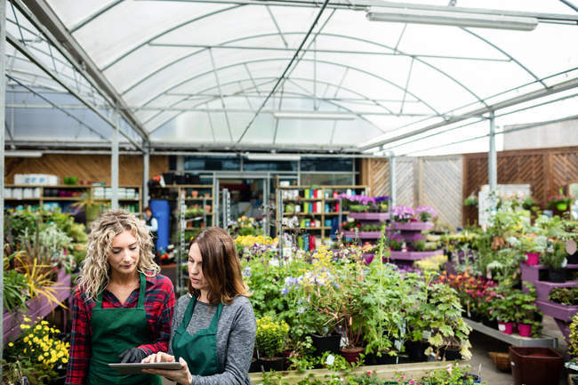 Две флористки используют цифровой планшет в садовом центре — стоковое фото