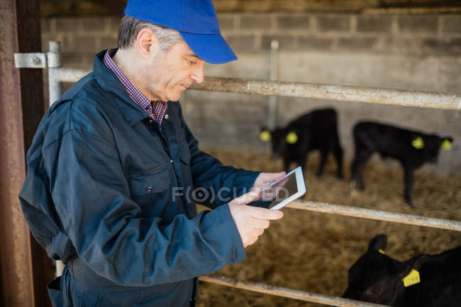 Vista lateral do trabalhador agrícola usando tablet digital por cerca no galpão — Fotografia de Stock
