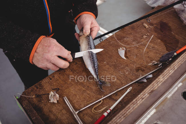 Imagem cortada de peixe filetagem pescador no barco — Fotografia de Stock