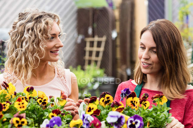 Женщина-флористка разговаривает с женщиной о растениях в садовом центре — стоковое фото