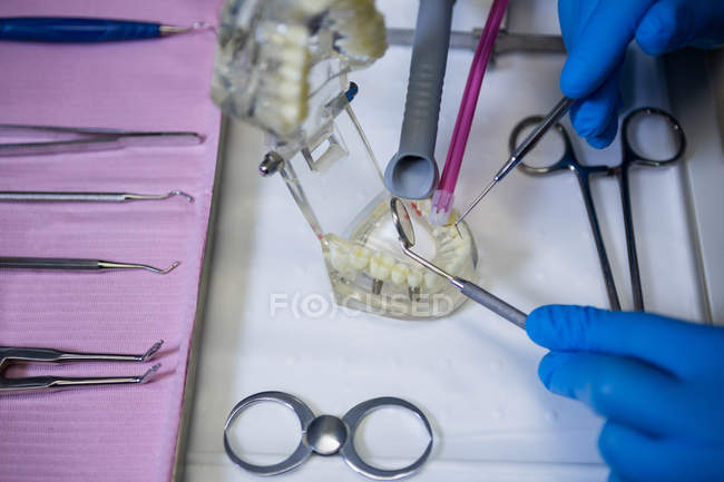 Zugeschnittenes Bild eines Zahnarztes, der in der Zahnklinik an einem Mundmodell mit Zahnwerkzeugen arbeitet — Stockfoto