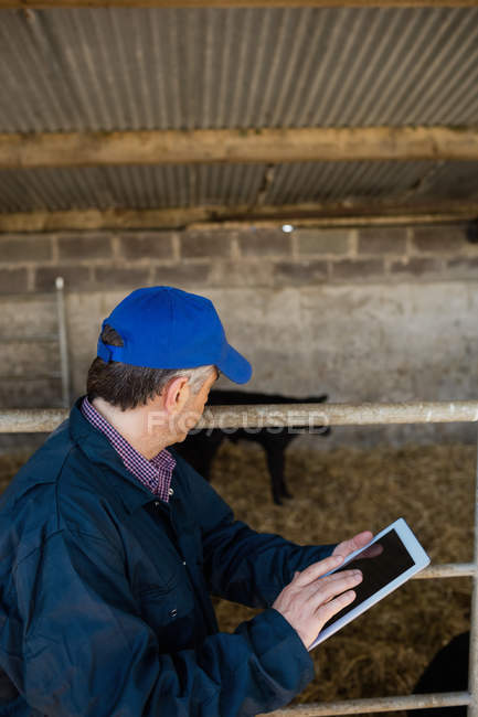 Vista lateral do agricultor usando tablet digital por cerca no celeiro — Fotografia de Stock