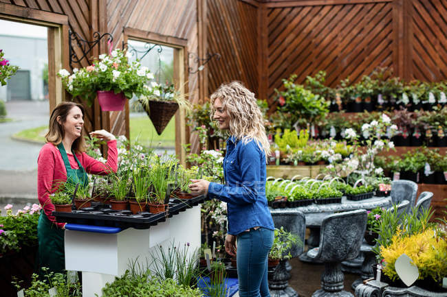 Fleuriste parlant à une femme qui achète une plante dans un centre de jardin — Photo de stock