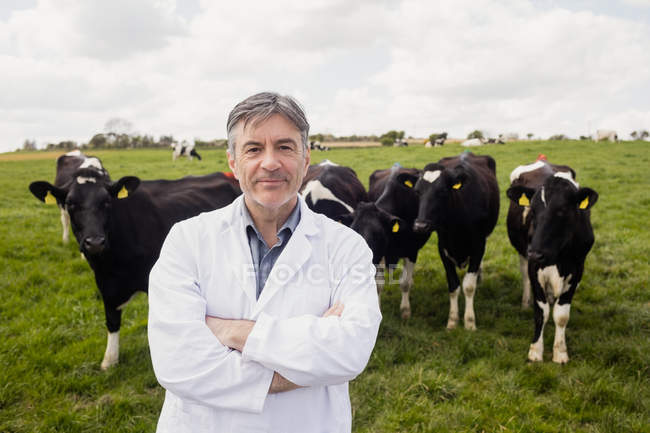 Porträt eines selbstbewussten Tierarztes, der gegen Kühe auf dem Feld steht — Stockfoto