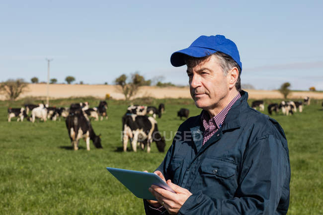 Farm worker using tablet computer on field against clear sky — Stock Photo