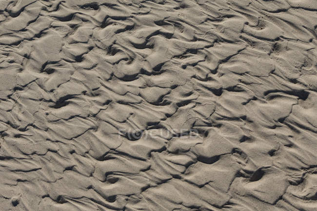 Cerca de granos de arena en la playa - foto de stock
