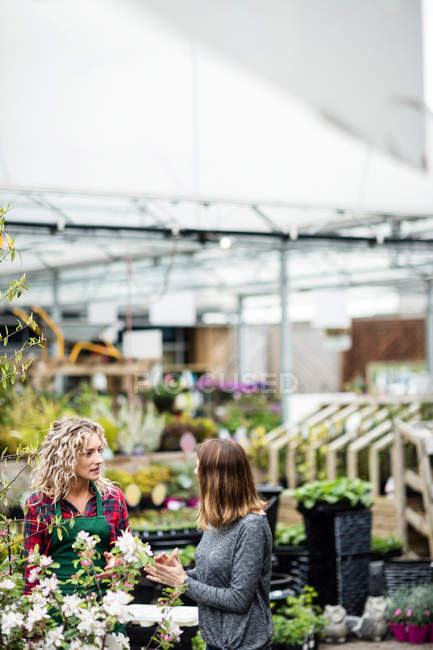 Floristería hablando con la mujer sobre plantas en el centro del jardín - foto de stock