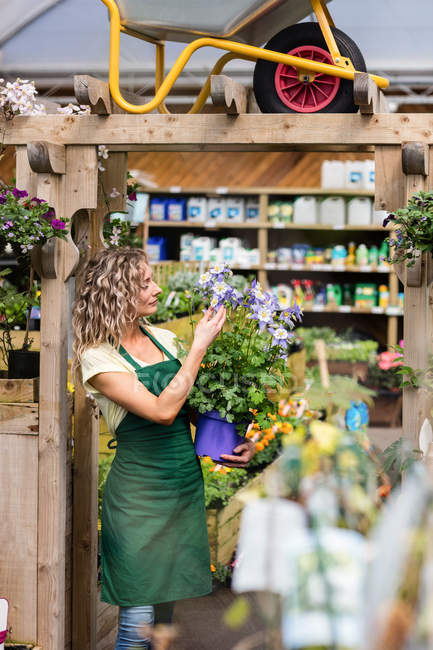 Female florist looking at potted plant in garden centre — Stock Photo
