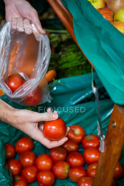 Imagem cortada do homem segurando saco de plástico e comprando tomates no supermercado — Fotografia de Stock