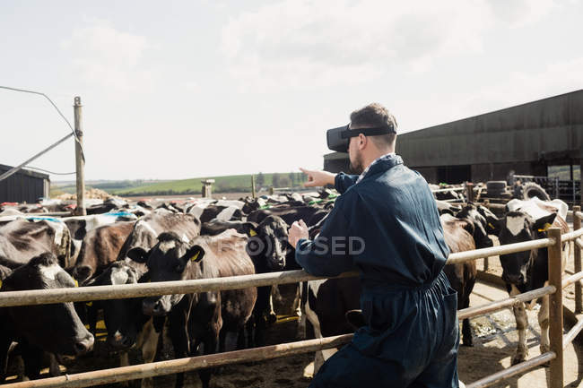Rear view of  farm worker using virtual reality simulator by fence at barn — Stock Photo