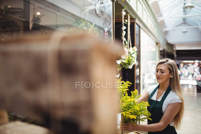 Florista feminina organizando flores em vaso em sua loja de flores — Fotografia de Stock