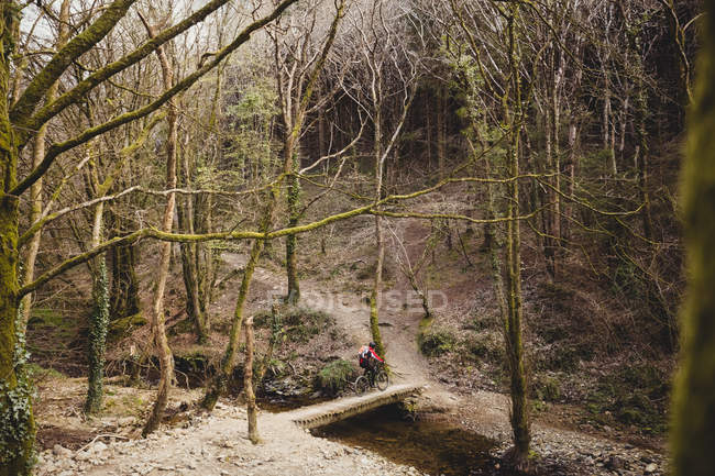 Ciclista de montaña montando en pasarela sobre el arroyo en el bosque - foto de stock