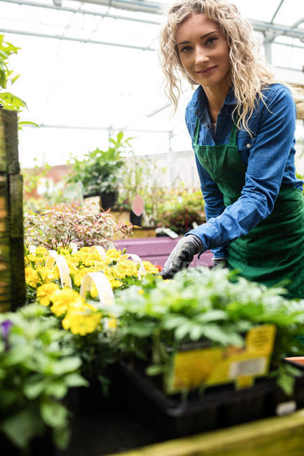 Portrait of female florist checking flowers in garden centre — Stock Photo