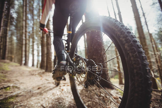 Low section of mountain biker riding bicycle in woodland — Stock Photo