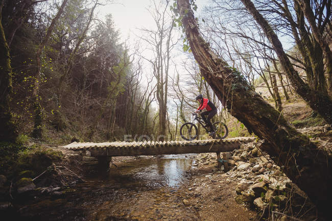 Гірський велосипедист їде пішохідним мостом через струмок у лісі — стокове фото