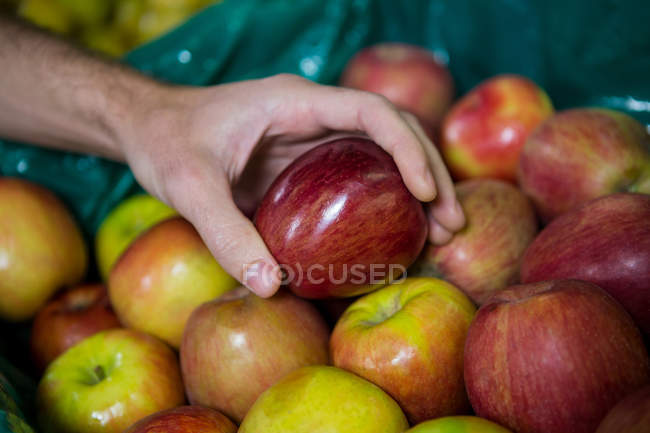 Cropped image of man holding apple in supermarket — Stock Photo