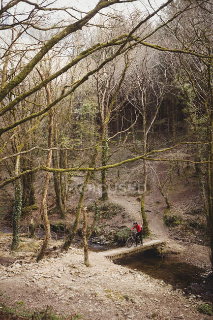 Hochwinkelblick von Mountainbiker auf Fußgängerbrücke über Bach im Wald — Stockfoto