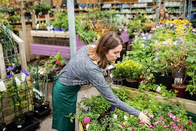Женщина проверяет горшечные растения в садовом центре — стоковое фото