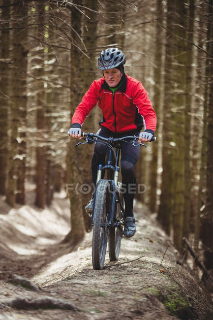 Front view of mountain biker riding on dirt road in woodland — Stock Photo