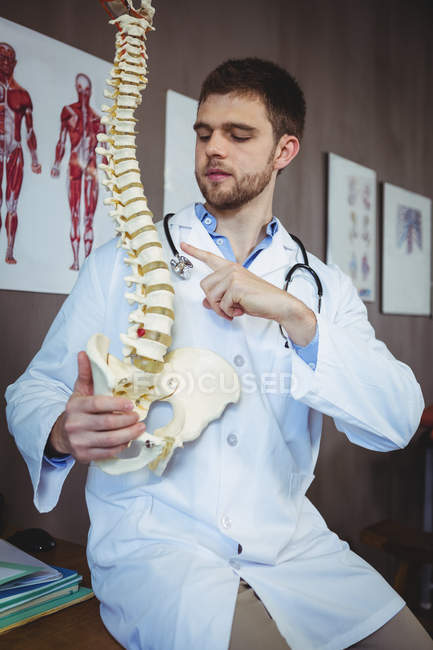 Fisioterapista che spiega il modello di colonna vertebrale in clinica — Foto stock