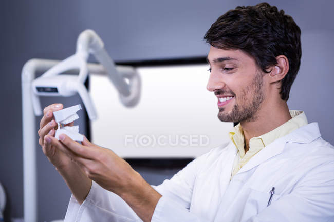 Smiling dentist examining a mouth model at the dental clinic — Stock Photo