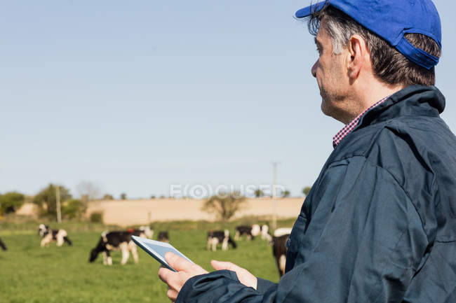 Gros plan du travailleur agricole utilisant une tablette numérique sur le terrain contre un ciel dégagé — Photo de stock