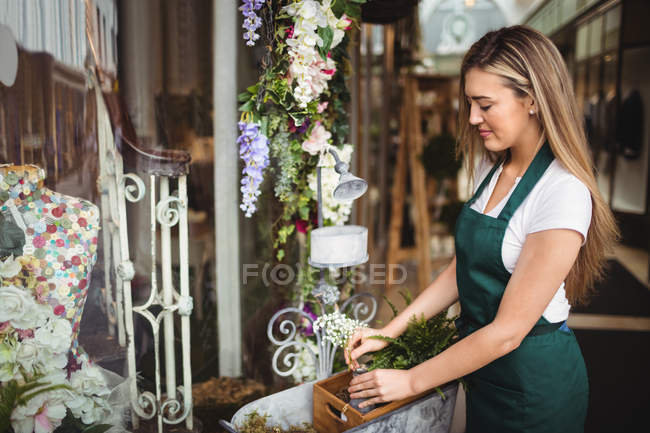 Floristería femenina arreglando flores en caja de madera en su floristería - foto de stock