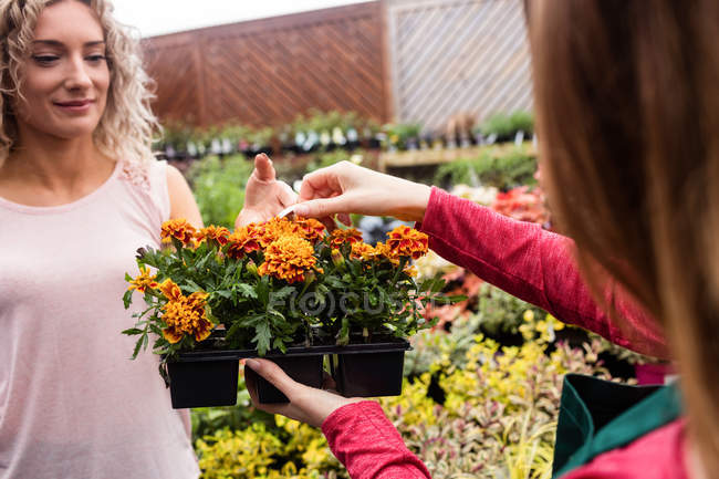 Mujer comprando plantas en maceta en el centro del jardín - foto de stock