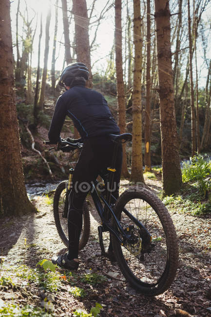 Rear view of mountain biker riding bicycle in forest — Stock Photo