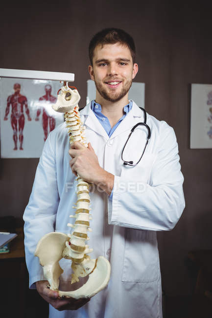 Retrato del fisioterapeuta sosteniendo modelo de columna vertebral en la clínica - foto de stock