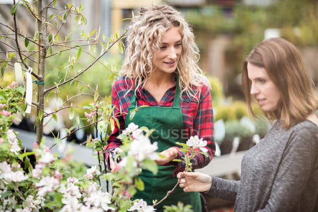 Флорист дает советы женщине, покупающей цветы в центре сада — стоковое фото