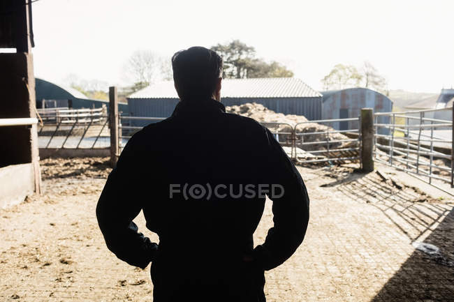 Vista posteriore di uomo silhouette in piedi con mano sul fianco in fienile — Foto stock