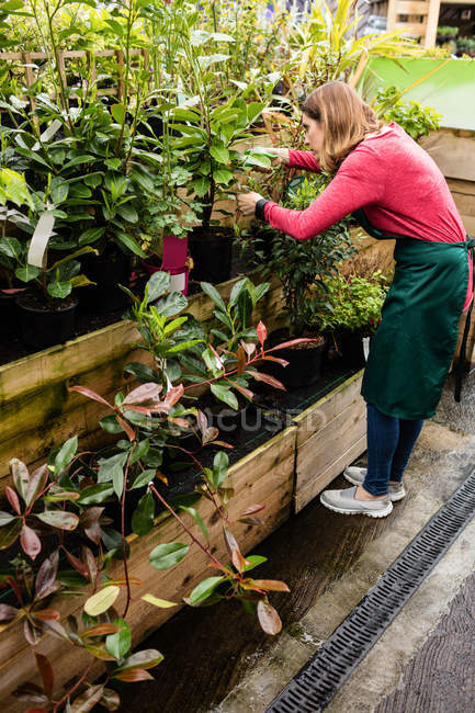 Female florist checking potted plants in garden centre — Stock Photo