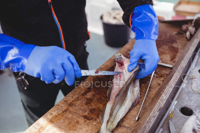 Abgeschnittenes Bild eines Fischers beim Filetieren von Fischen auf einem Boot — Stockfoto