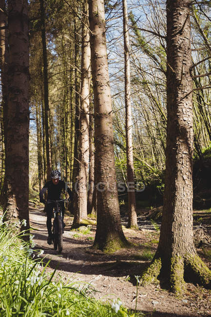 Mountain biker riding on pathway in forest — Stock Photo