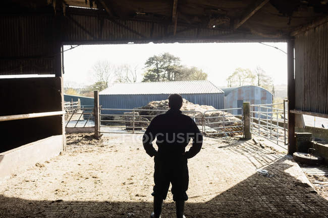 Vista posteriore del lavoratore agricolo in piedi nel fienile — Foto stock