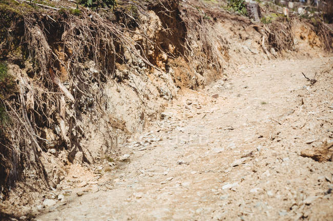 Порожня брудна дорога на пагорбі — стокове фото