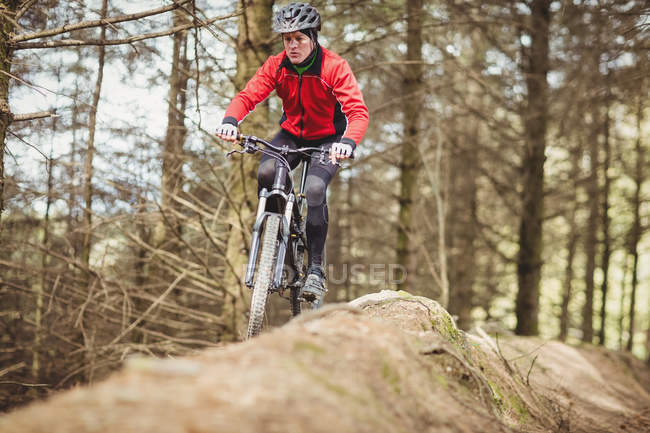Vista frontal del ciclista de montaña cabalgando por los árboles en el bosque - foto de stock