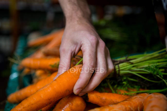 Cropped image of man holding carrot in supermarket — Stock Photo